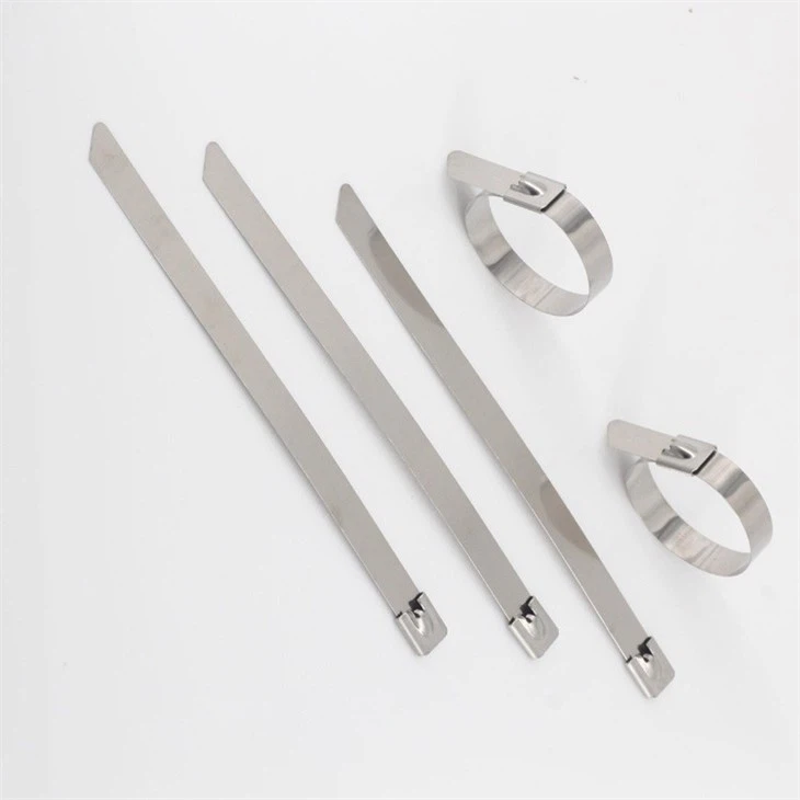 Stainless Steel Cable Ties